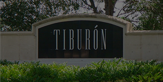 Tiburón