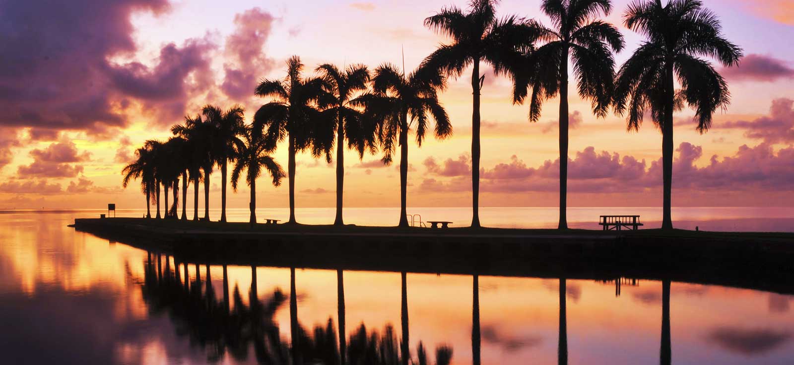 Sunset and palm trees