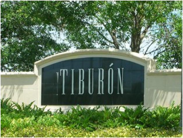 Tiburon